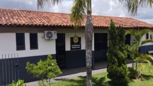 O agressor foi preso pela Polícia Civil de Rio Paranaíba — Foto: Polícia Civil/Divulgação